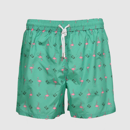 flamingos_m.JPG